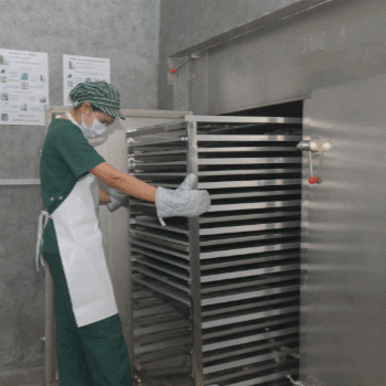 spirulina going into the dehydrator