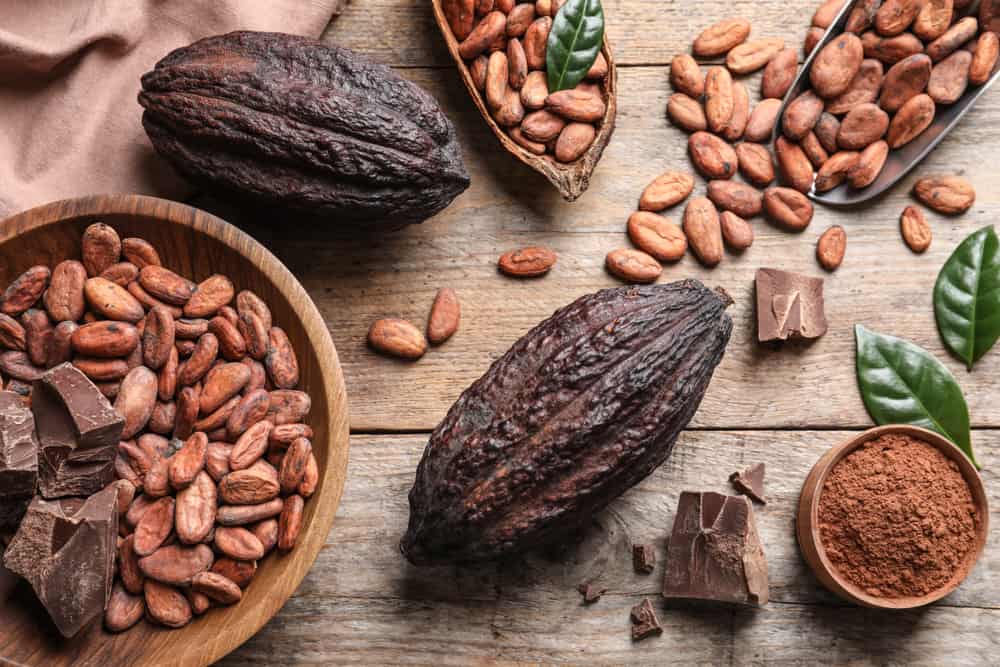 raw-cacao-bean