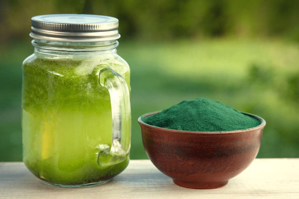 powdered-spirulina-with-spirulina-water