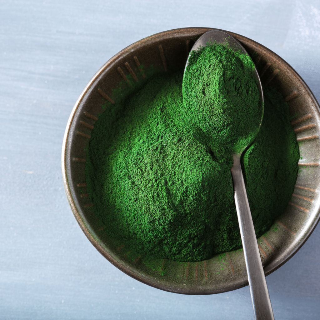 green-spirulina-in-a-bowl