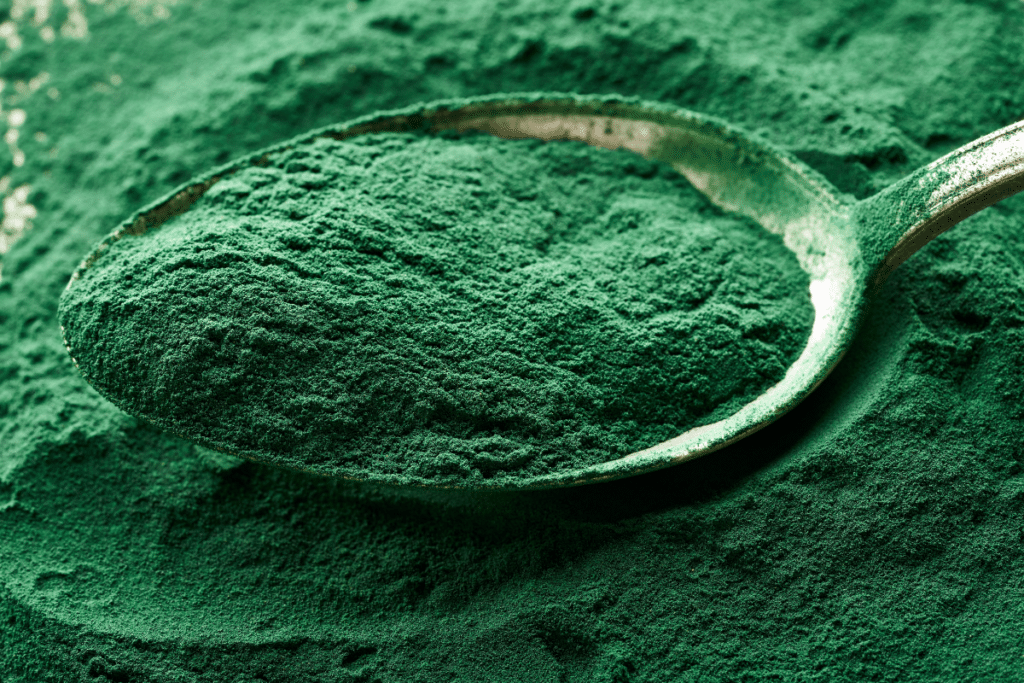 spirulina-powder-on-a-spoon